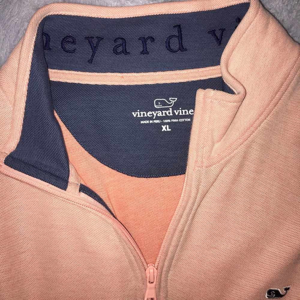 Vineyard vine